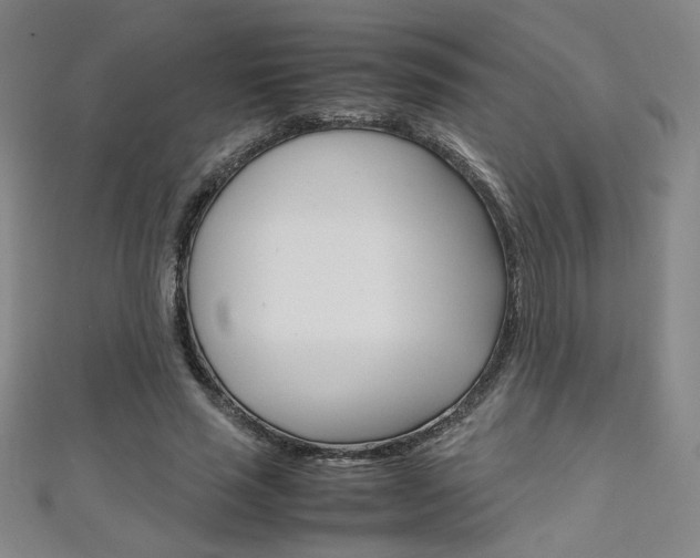 X0000111150637200906301038