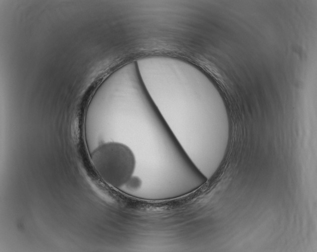 X0000111150638200906301038