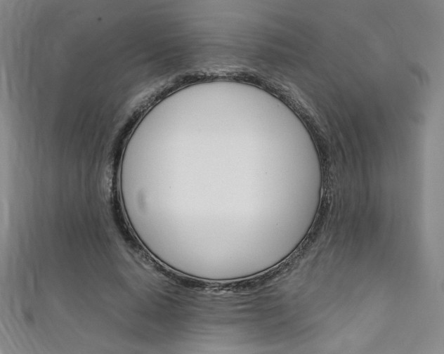 X0000111150640200906301038