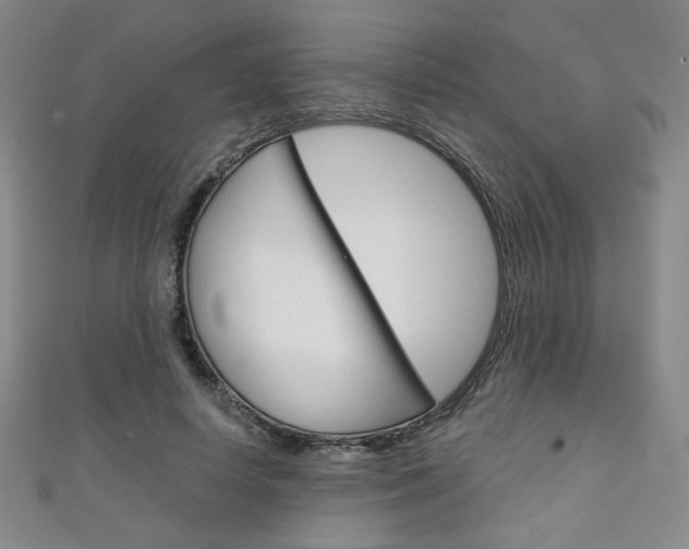 X0000111150642200906301038