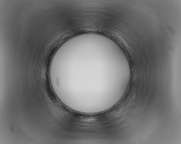 X0000111150643200906301038