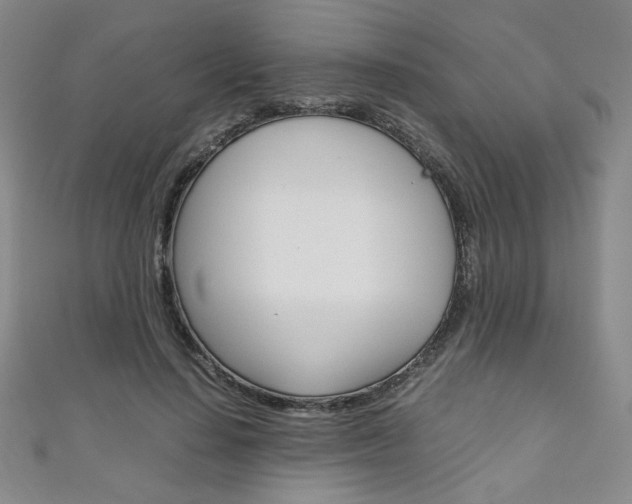 X0000111150644200906301038