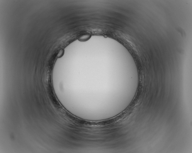 X0000111150645200906301038
