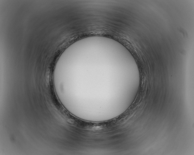 X0000111150647200906301038