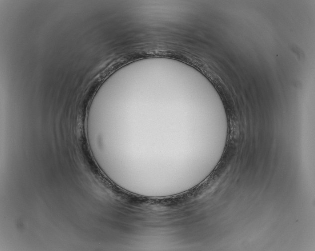 X0000111150648200906301038