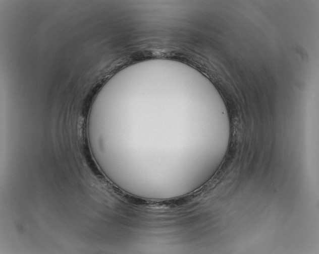 X0000111150650200906301038