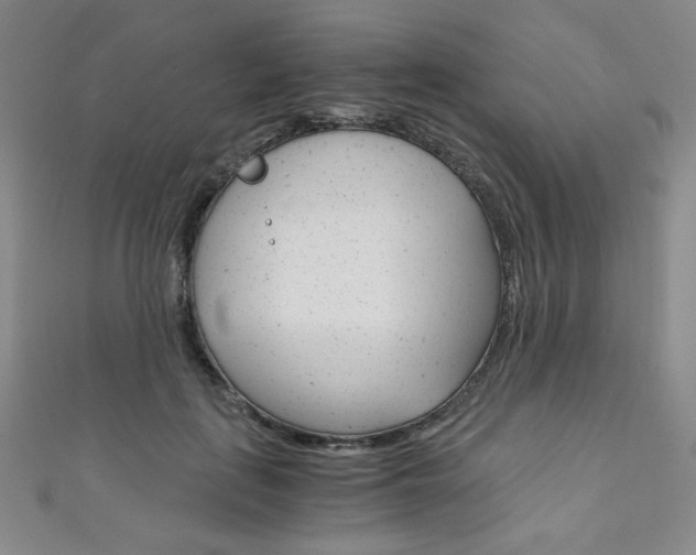X0000111150651200906301038