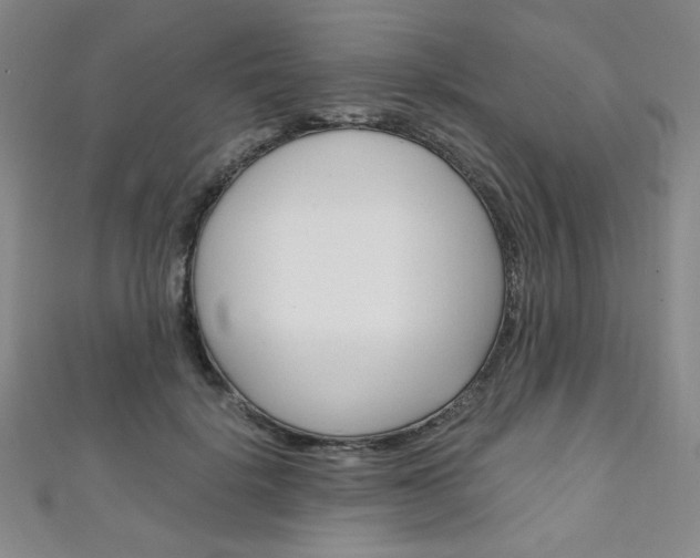 X0000111150652200906301038