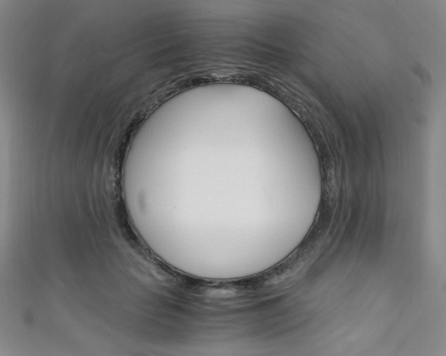 X0000111150653200906301038