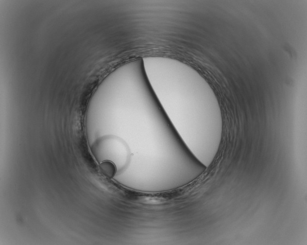 X0000111150654200906301038