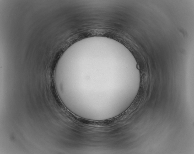 X0000111150655200906301038