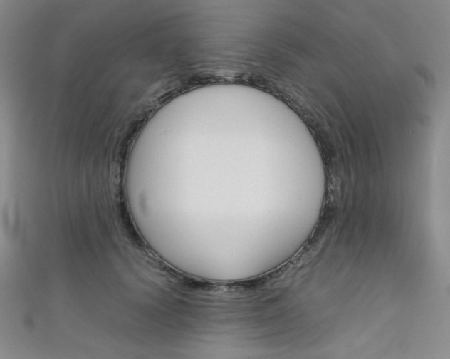 X0000111150656200906301038