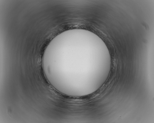 X0000111150657200906301038
