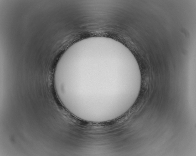 X0000111150658200906301038