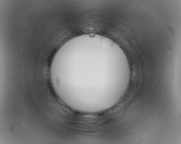 X0000111150659200906301038