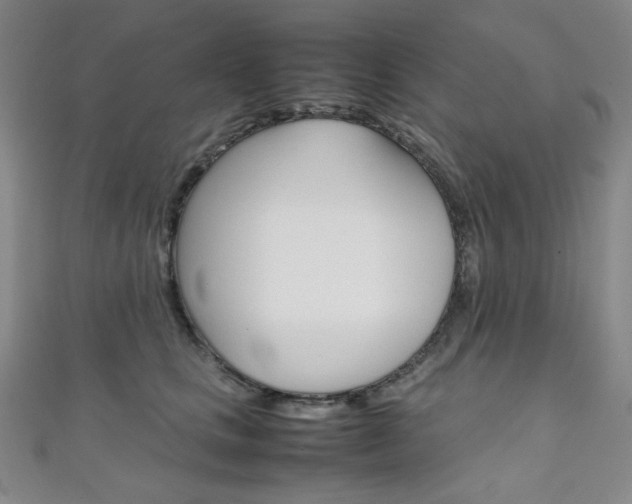 X0000111150661200906301038