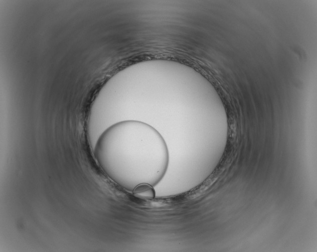X0000111150662200906301038