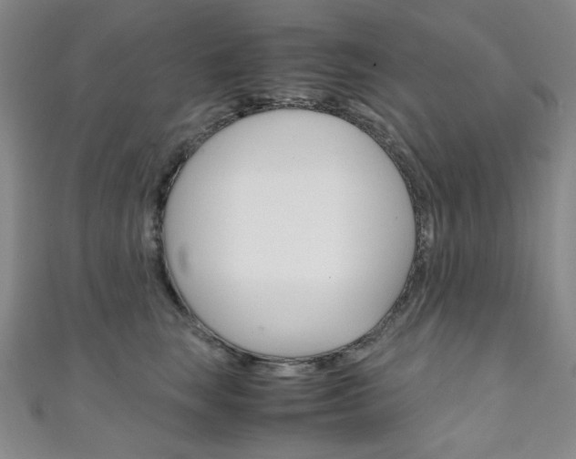 X0000111150663200906301038