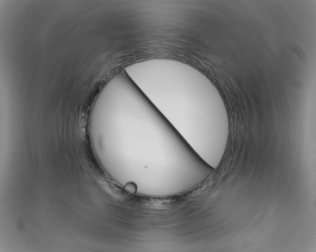 X0000111150664200906301038
