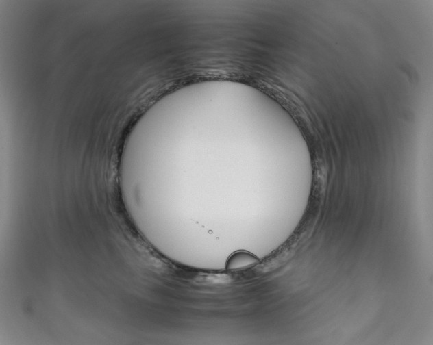 X0000111150665200906301038