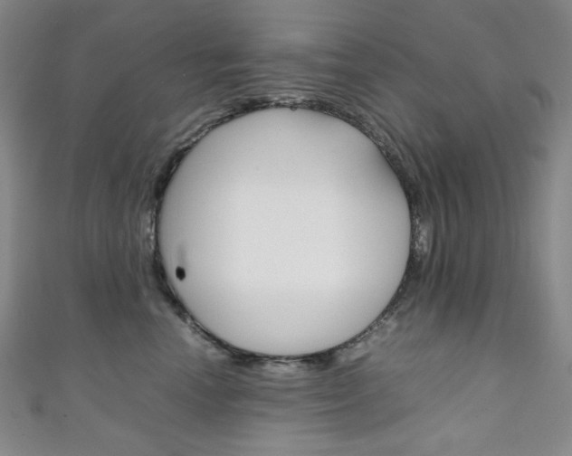 X0000111150666200906301038