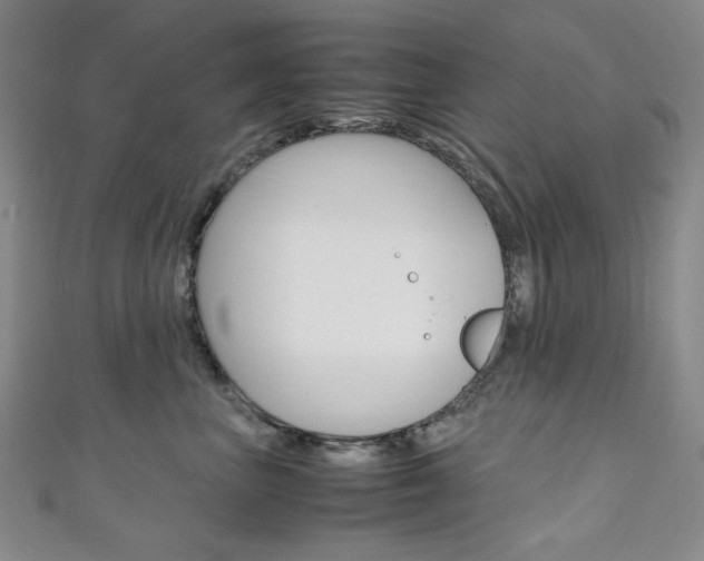 X0000111150667200906301038