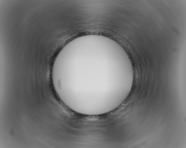 X0000111150668200906301038