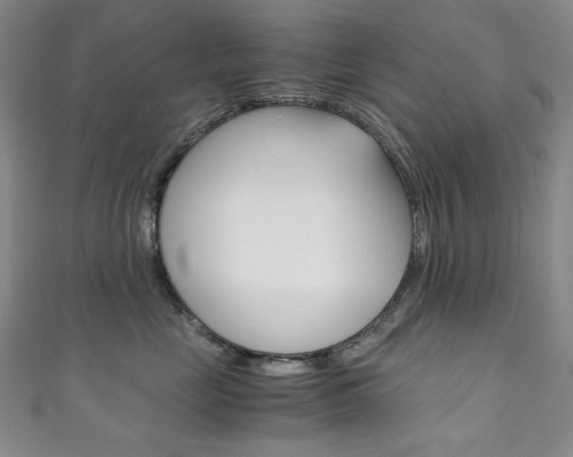 X0000111150669200906301038