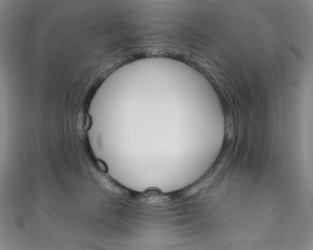 X0000111150670200906301038