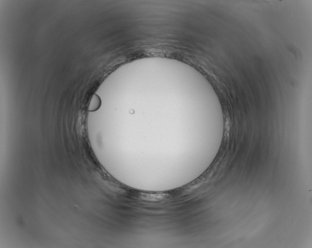 X0000111150671200906301038