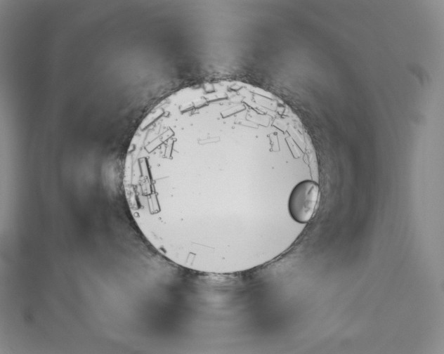 X0000111150672200906301038