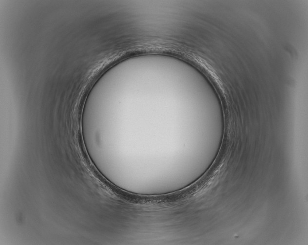 X0000111150673200906301038