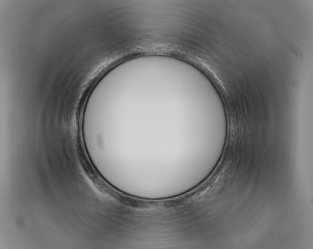 X0000111150674200906301038