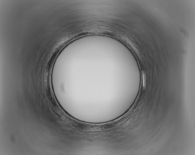 X0000111150675200906301038
