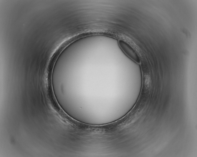 X0000111150676200906301038