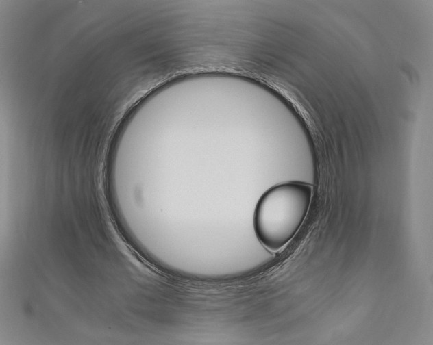 X0000111150677200906301038