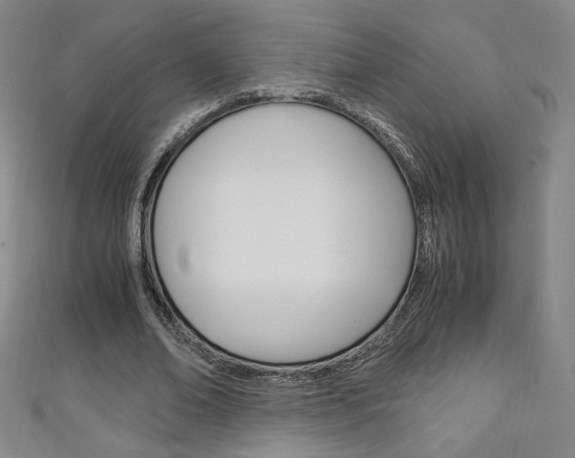 X0000111150678200906301038