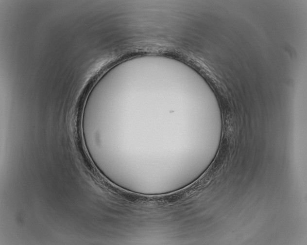 X0000111150679200906301038