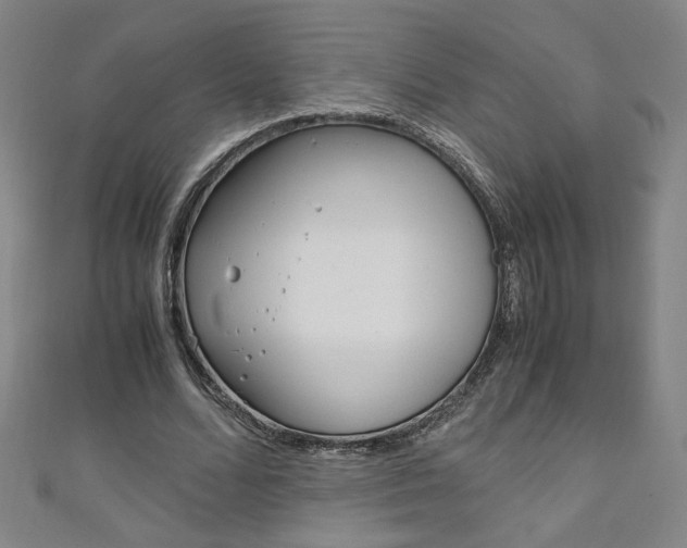 X0000111150680200906301038