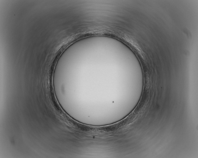 X0000111150681200906301038