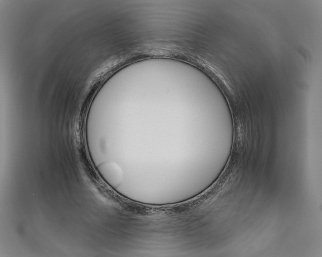 X0000111150682200906301038