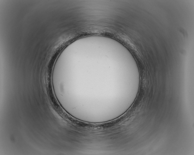 X0000111150683200906301038