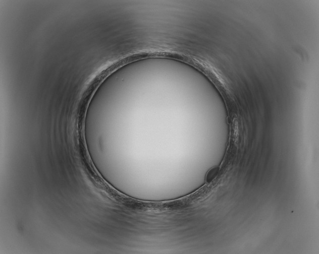 X0000111150684200906301038