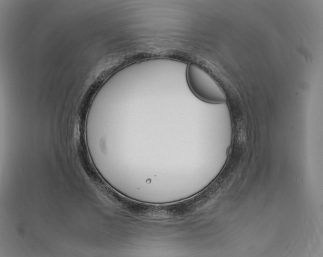 X0000111150685200906301038