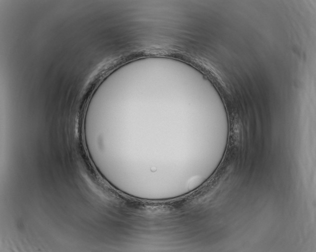 X0000111150686200906301038