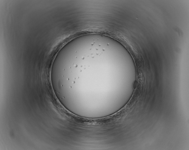 X0000111150688200906301038