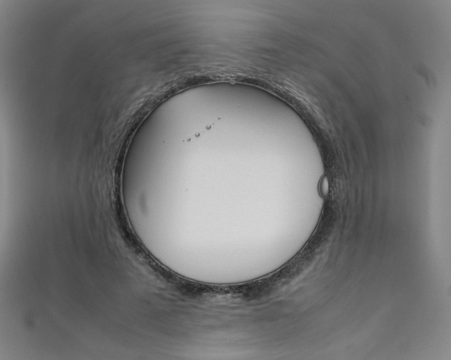 X0000111150689200906301038