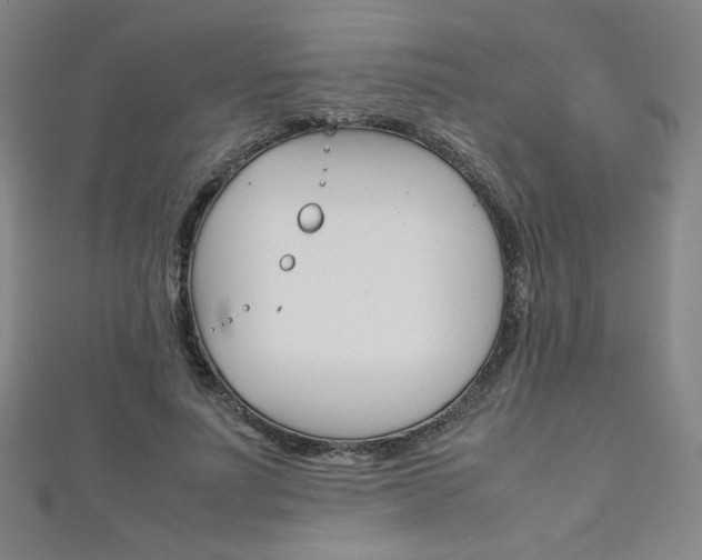 X0000111150691200906301038