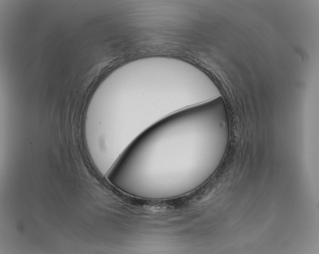X0000111150693200906301038