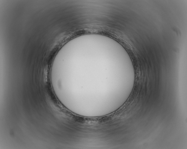 X0000111150694200906301038